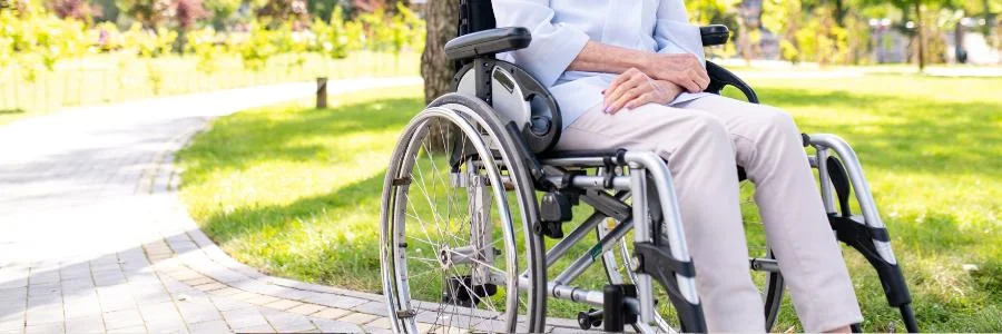 Curso La silla de ruedas: ¿Apoyo o limitación para la persona mayor?